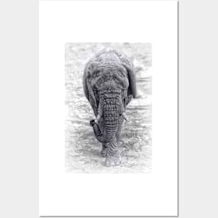 The Elephant Posters and Art